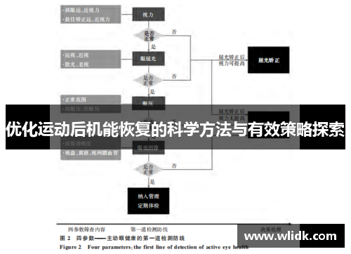 优化运动后机能恢复的科学方法与有效策略探索